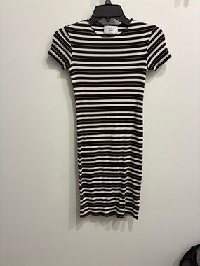 Zara Black, White & Brown Striped Mini Dress